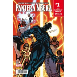 Imagén: Pantera Negra 7 (vol. 2)
